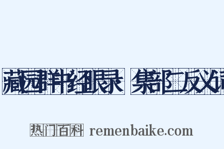 藏园群书经眼录·集部二反义词是什么意思的图片
